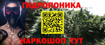мяу мяу мука Пенза