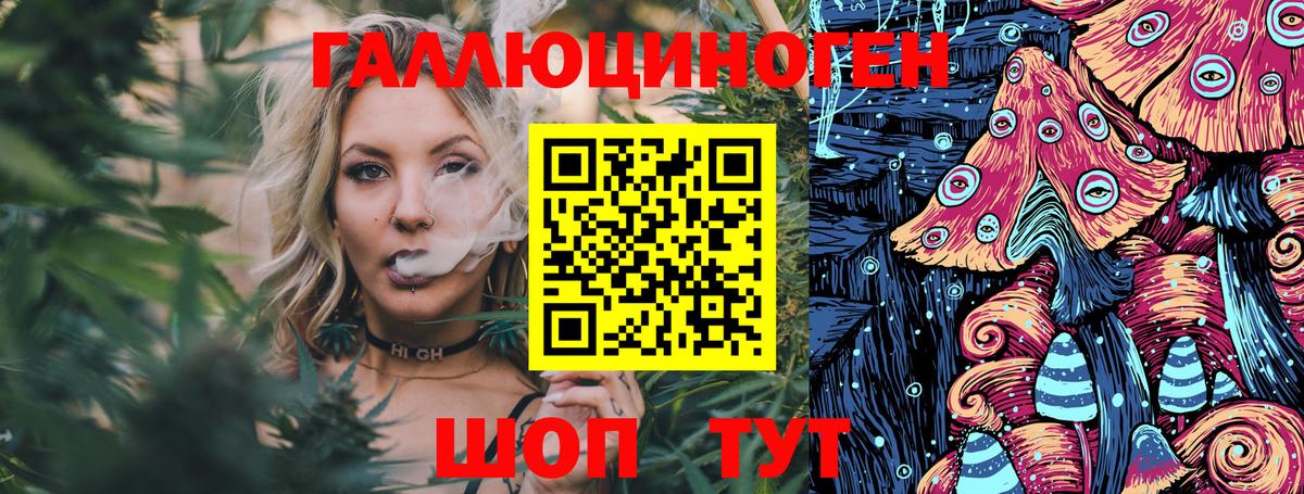 Псилоцибиновые грибы ЛСД Северск