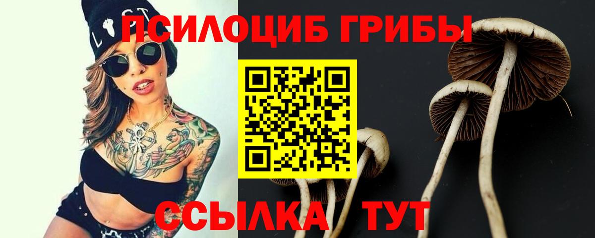 Галлюциногенные грибы Psilocybe  Псилоцибиновые грибы Magic Shrooms  Северск  Вход с VPN 